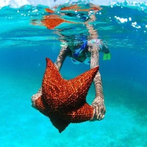 Isla Saona