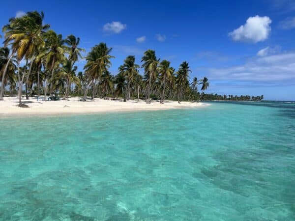 Saona Premium Small-Group Day Trip - Image 3