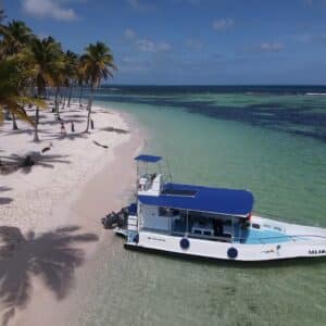 Saona Premium Small-Group Day Trip