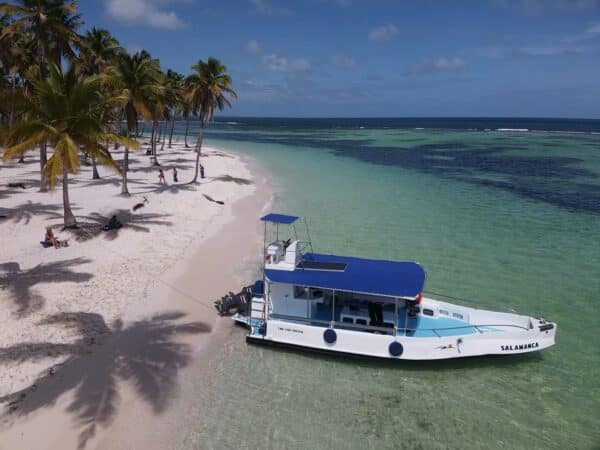 Saona Premium Small-Group Day Trip