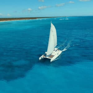 Saona Island VIP Tour By Speedboat and Catamaran